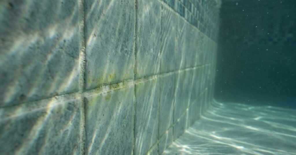 Faint algae discoloration forming on pool wall grout line indicating hidden chlorine demand