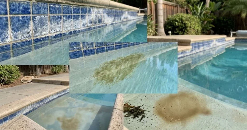 Pool surface showing calcium scale algae and metal stains for accurate pool stain identification